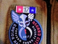 ALC17