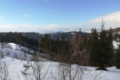 IMG_20190209_135224