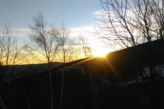 IMAG0358