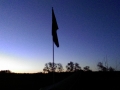 IMAG0387